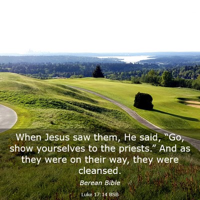 Picture 03 - Luke 17:14 BSB - When Jesus saw them, He said, “Go, show - Bible Verse Picture