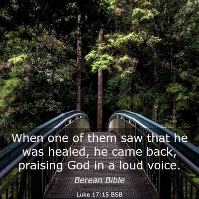 Picture 03 - Luke 17:15 BSB - When one of them saw that he was healed, he came - Bible Verse Picture