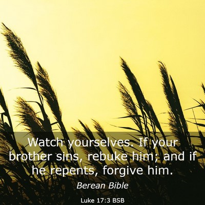Picture 03 - Luke 17:3 BSB - Watch yourselves. If your brother sins, rebuke - Bible Verse Picture