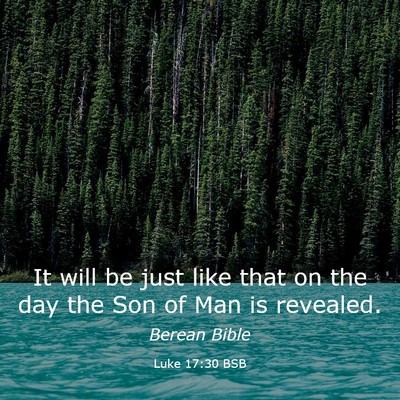 Picture 03 - Luke 17:30 BSB - It will be just like that on the day the Son of - Bible Verse Picture