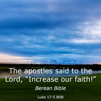 Picture 03 - Luke 17:5 BSB - The apostles said to the Lord, “Increase our - Bible Verse Picture
