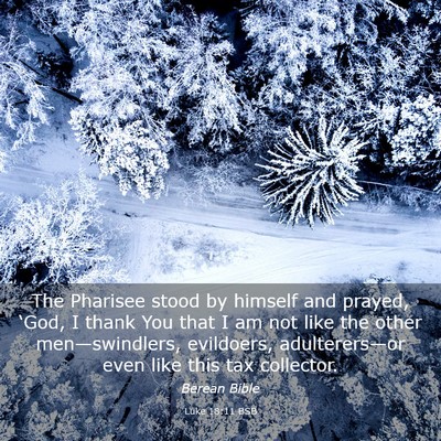 Picture 03 - Luke 18:11 BSB - The Pharisee stood by himself and prayed, ‘God, - Bible Verse Picture