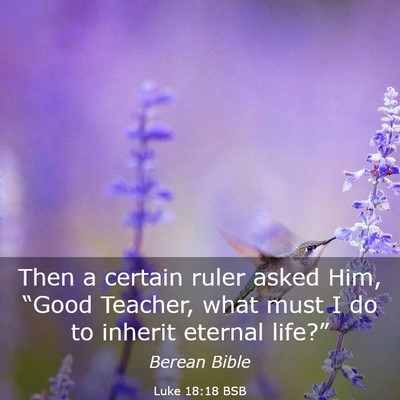 Picture 03 - Luke 18:18 BSB - Then a certain ruler asked Him, “Good Teacher, - Bible Verse Picture
