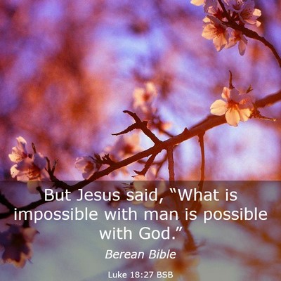 Picture 03 - Luke 18:27 BSB - But Jesus said, “What is impossible with man is - Bible Verse Picture