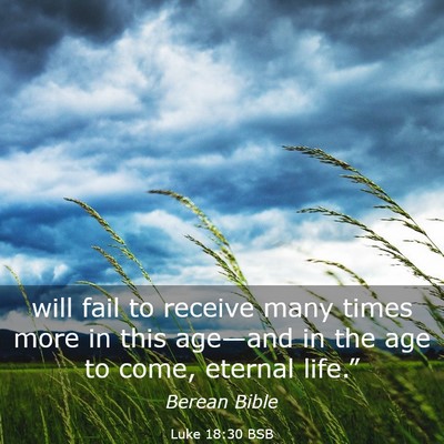 Picture 03 - Luke 18:30 BSB - will fail to receive many times more in this - Bible Verse Picture