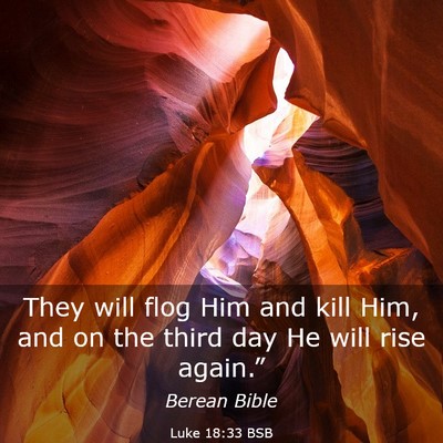 Picture 03 - Luke 18:33 BSB - They will flog Him and kill Him, and on the third - Bible Verse Picture
