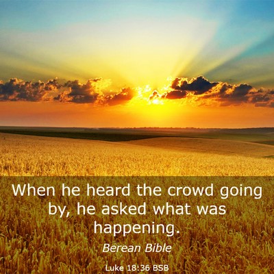 Picture 03 - Luke 18:36 BSB - When he heard the crowd going by, he asked what - Bible Verse Picture