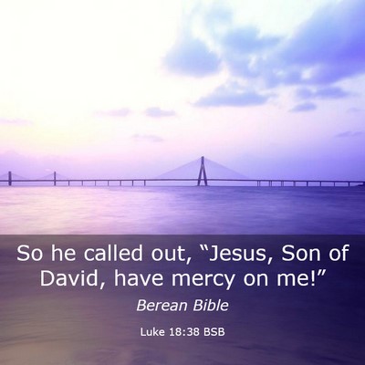 Picture 03 - Luke 18:38 BSB - So he called out, “Jesus, Son of David, have - Bible Verse Picture
