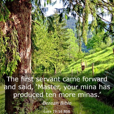 Picture 03 - Luke 19:16 BSB - The first servant came forward and said, - Bible Verse Picture