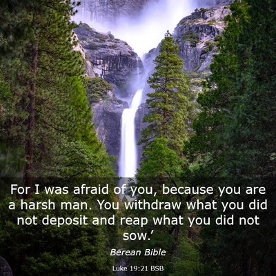 Picture 03 - Luke 19:21 BSB - For I was afraid of you, because you are a harsh - Bible Verse Picture