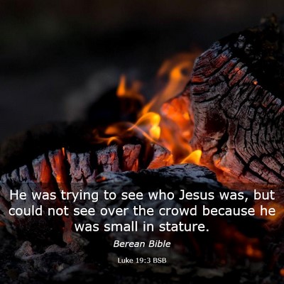 Picture 03 - Luke 19:3 BSB - He was trying to see who Jesus was, but could not - Bible Verse Picture