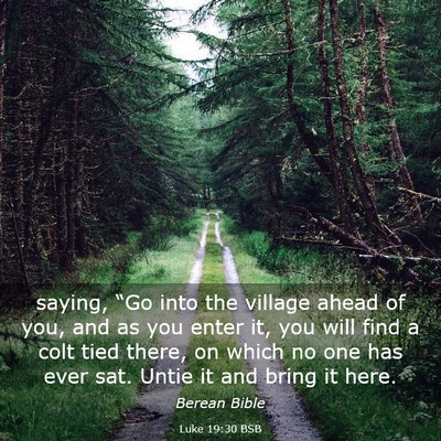 Picture 03 - Luke 19:30 BSB - saying, “Go into the village ahead of you, and - Bible Verse Picture