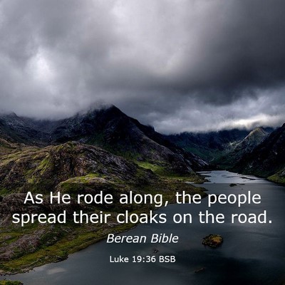 Picture 03 - Luke 19:36 BSB - As He rode along, the people spread their cloaks - Bible Verse Picture