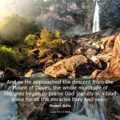 Picture 03 - Luke 19:37 BSB - And as He approached the descent from the Mount - Bible Verse Picture