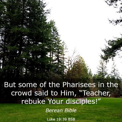 Picture 03 - Luke 19:39 BSB - But some of the Pharisees in the crowd said to - Bible Verse Picture