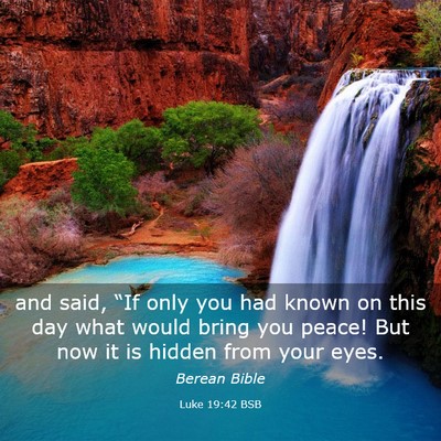 Picture 03 - Luke 19:42 BSB - and said, “If only you had known on this day - Bible Verse Picture