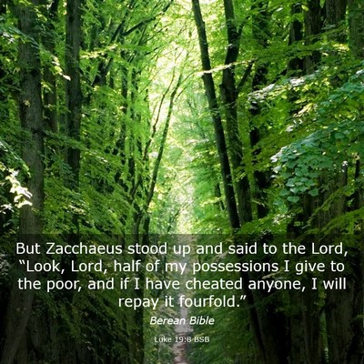 Picture 03 - Luke 19:8 BSB - But Zacchaeus stood up and said to the Lord, - Bible Verse Picture