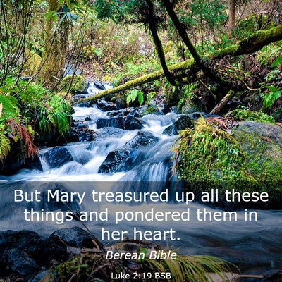 Picture 03 - Luke 2:19 BSB - But Mary treasured up all these things and - Bible Verse Picture