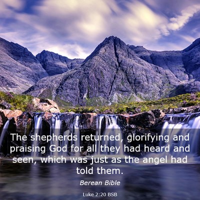 Picture 03 - Luke 2:20 BSB - The shepherds returned, glorifying and praising - Bible Verse Picture