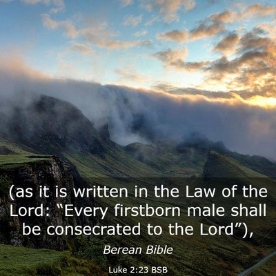 Picture 03 - Luke 2:23 BSB - (as it is written in the Law of the Lord: - Bible Verse Picture