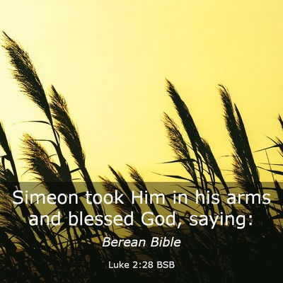 Picture 03 - Luke 2:28 BSB - Simeon took Him in his arms and blessed God, - Bible Verse Picture