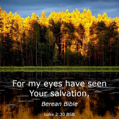 Picture 03 - Luke 2:30 BSB - For my eyes have seen Your - Bible Verse Picture