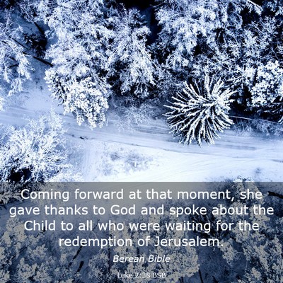 Picture 03 - Luke 2:38 BSB - Coming forward at that moment, she gave thanks to - Bible Verse Picture