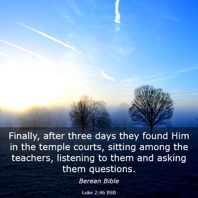 Picture 03 - Luke 2:46 BSB - Finally, after three days they found Him in the - Bible Verse Picture