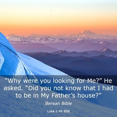 Picture 03 - Luke 2:49 BSB - “Why were you looking for Me?” He asked. - Bible Verse Picture