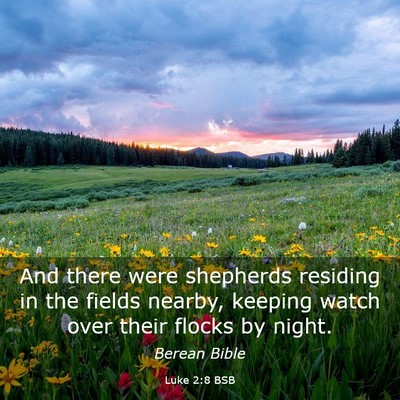 Picture 03 - Luke 2:8 BSB - And there were shepherds residing in the fields - Bible Verse Picture