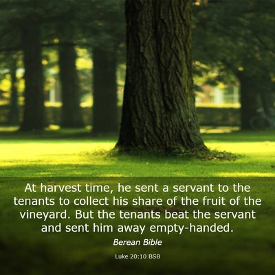 Picture 03 - Luke 20:10 BSB - At harvest time, he sent a servant to the tenants - Bible Verse Picture