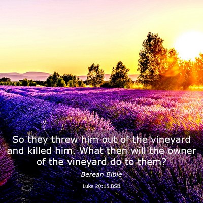 Picture 03 - Luke 20:15 BSB - So they threw him out of the vineyard and killed - Bible Verse Picture