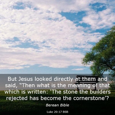 Picture 03 - Luke 20:17 BSB - But Jesus looked directly at them and said, - Bible Verse Picture