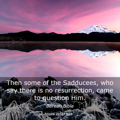 Picture 03 - Luke 20:27 BSB - Then some of the Sadducees, who say there is no - Bible Verse Picture