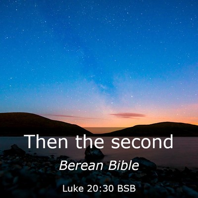 Picture 03 - Luke 20:30 BSB - Then the - Bible Verse Picture