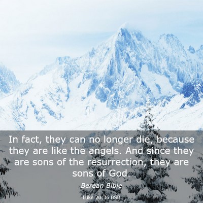 Picture 03 - Luke 20:36 BSB - In fact, they can no longer die, because they are - Bible Verse Picture