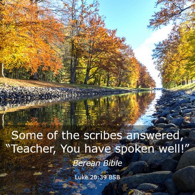 Picture 03 - Luke 20:39 BSB - Some of the scribes answered, “Teacher, You - Bible Verse Picture