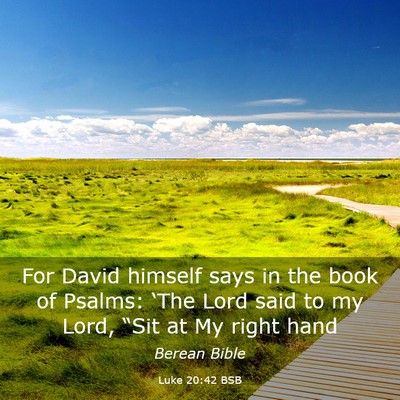Picture 03 - Luke 20:42 BSB - For David himself says in the book of Psalms: - Bible Verse Picture