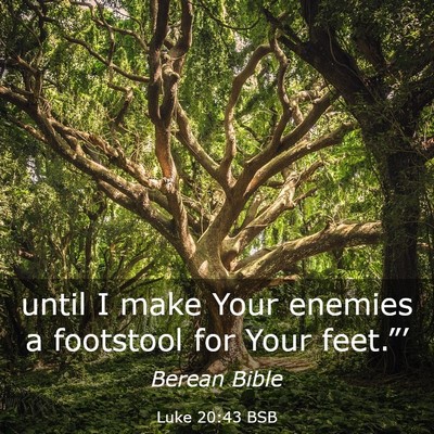 Picture 03 - Luke 20:43 BSB - until I make Your enemies a footstool for Your - Bible Verse Picture