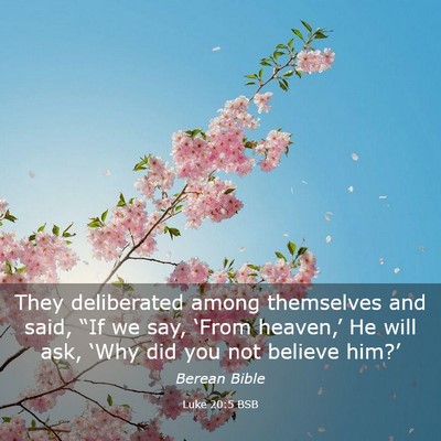 Picture 03 - Luke 20:5 BSB - They deliberated among themselves and said, “If - Bible Verse Picture