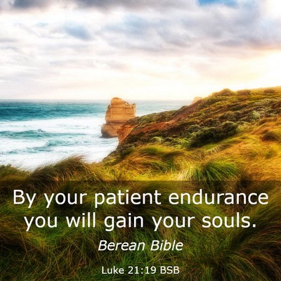 Picture 03 - Luke 21:19 BSB - By your patient endurance you will gain your - Bible Verse Picture