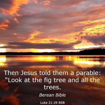 Picture 03 - Luke 21:29 BSB - Then Jesus told them a parable: “Look at the - Bible Verse Picture