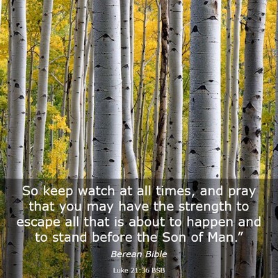 Picture 03 - Luke 21:36 BSB - So keep watch at all times, and pray that you may - Bible Verse Picture