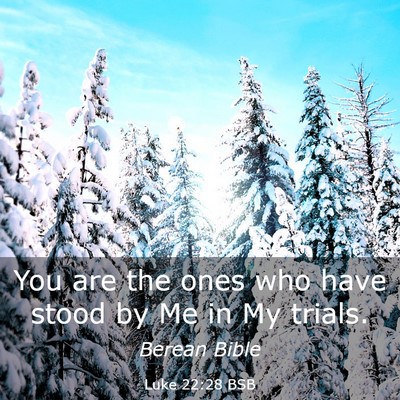 Picture 03 - Luke 22:28 BSB - You are the ones who have stood by Me in My - Bible Verse Picture