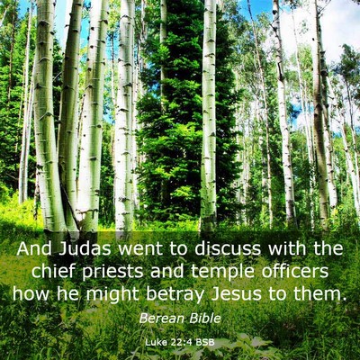 Picture 03 - Luke 22:4 BSB - And Judas went to discuss with the chief priests - Bible Verse Picture