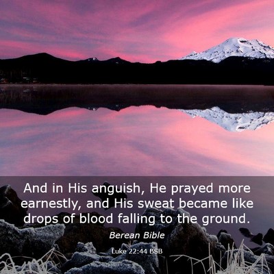 Picture 03 - Luke 22:44 BSB - And in His anguish, He prayed more earnestly, and - Bible Verse Picture