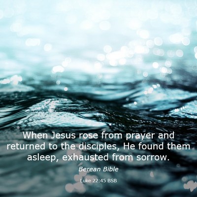 Picture 03 - Luke 22:45 BSB - When Jesus rose from prayer and returned to the - Bible Verse Picture