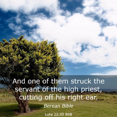 Picture 03 - Luke 22:50 BSB - And one of them struck the servant of the high - Bible Verse Picture