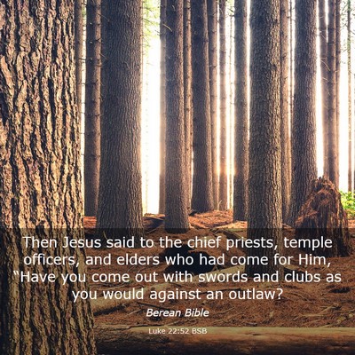 Picture 03 - Luke 22:52 BSB - Then Jesus said to the chief priests, temple - Bible Verse Picture