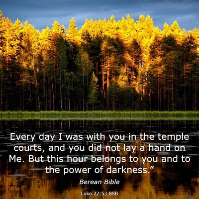 Picture 03 - Luke 22:53 BSB - Every day I was with you in the temple courts, - Bible Verse Picture